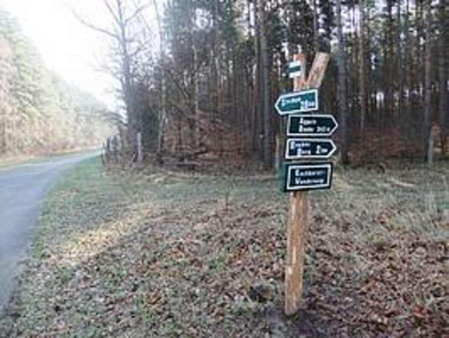 Ein Wegweiser am Havelland-Radweg zeigt die nächsten Ziele an. So zum Beispiel die Kilometer bis Stechow, den Eschhorst-Wanderweg und den Weg zum Rauhen Berg im Stadtforst.