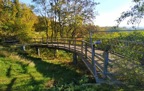 Gesperrter Weg am Weinberg im Jahr 2021