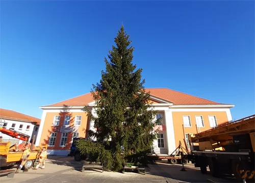 Es ist geschafft, der Baum steht. Es ist geschafft, der Baum steht.