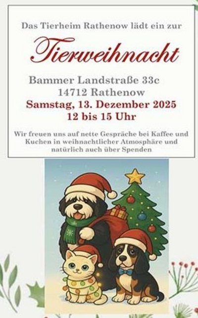 Weihnachtsfeier im Tierheim Rathenow