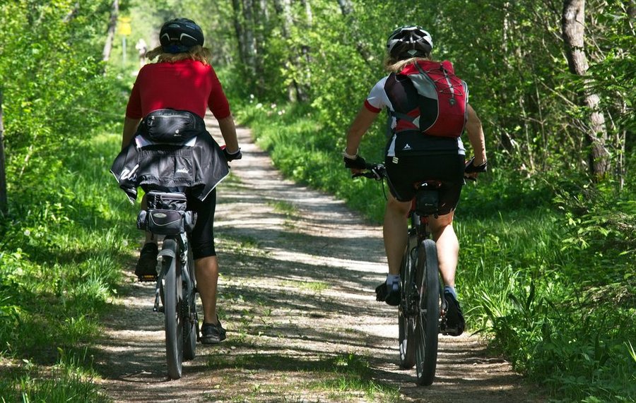 Zwei Radfahrer auf einem Waldweg