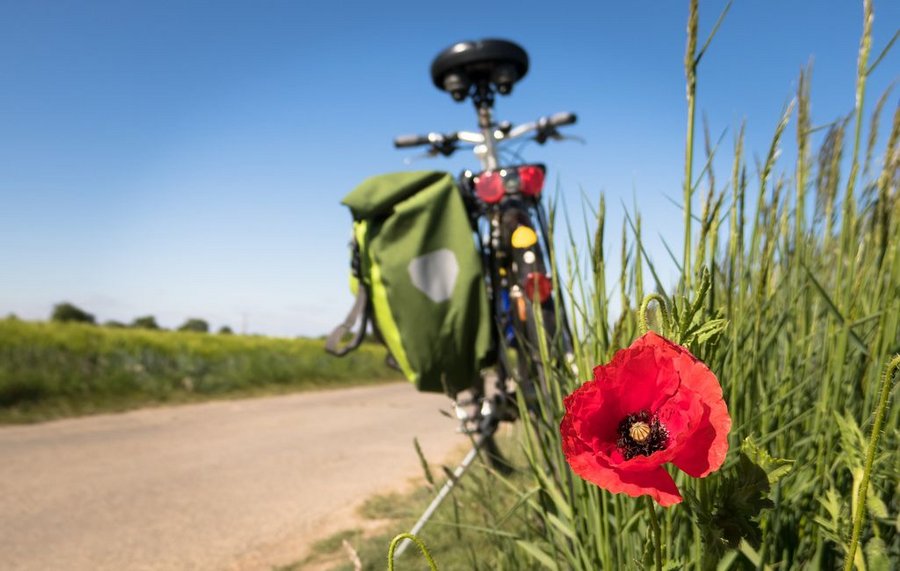 Fahrrad am Wegesrand mit Mohnblume