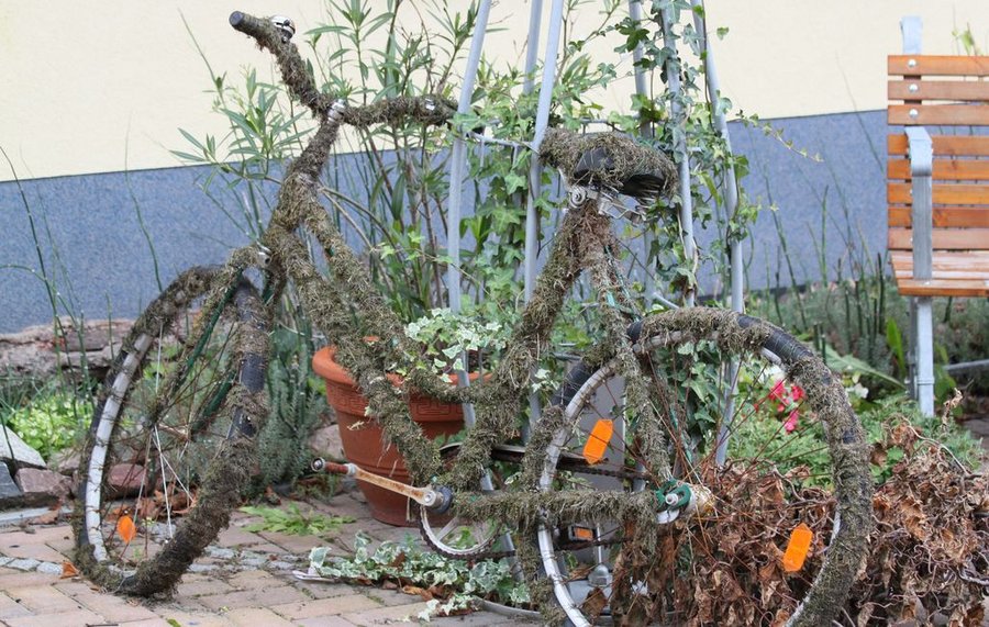 Mit Moos und Flechten bewachsenes Fahrrad