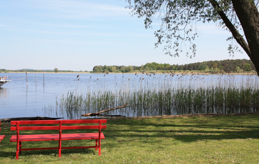 See mit roter Bank am Ufer in Semlin