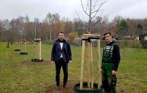 Zwei Männer stehen an einem jungen Obstbaum