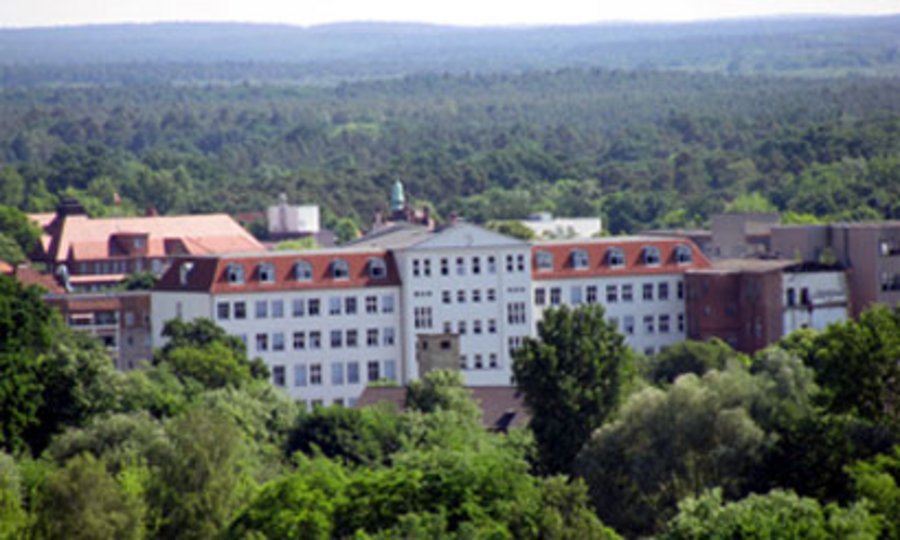 Das Rathaus aus der Vogelperspektive