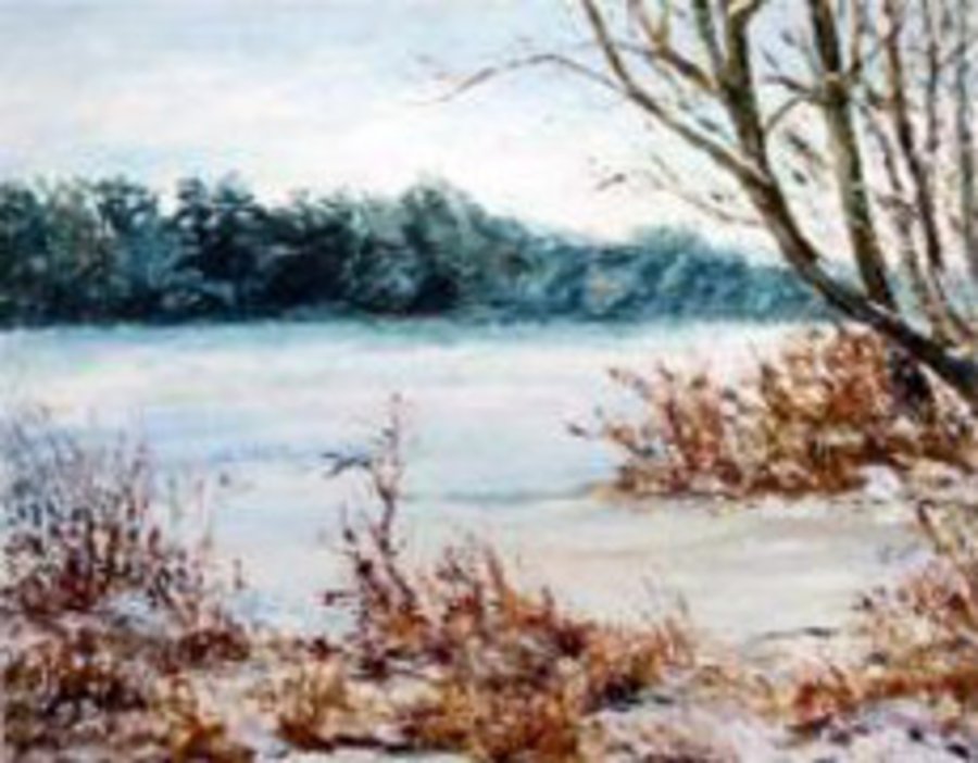 Der Wolzensee im Winter