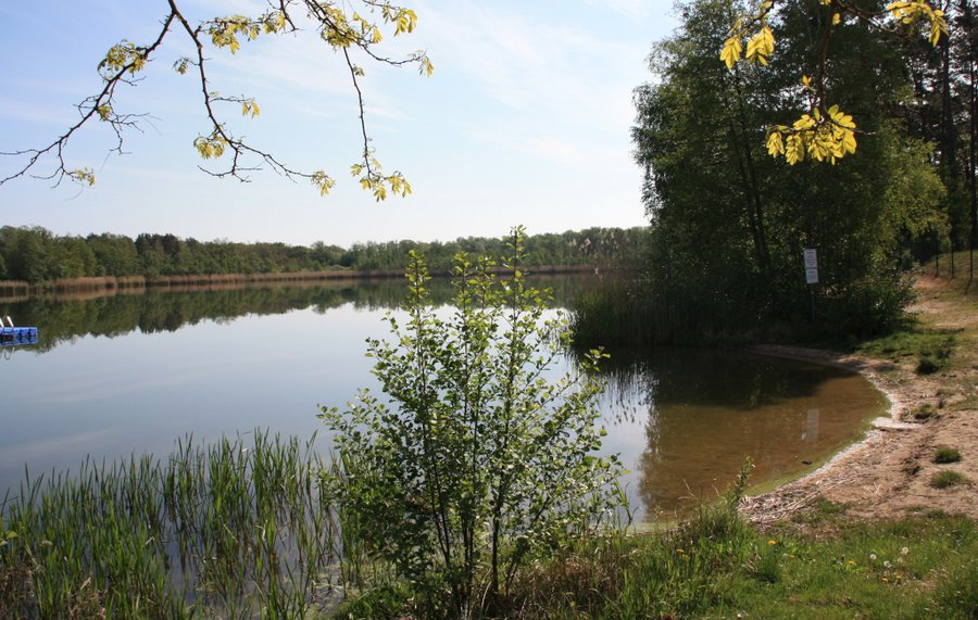 Badestelle am Steckelsdorfer See