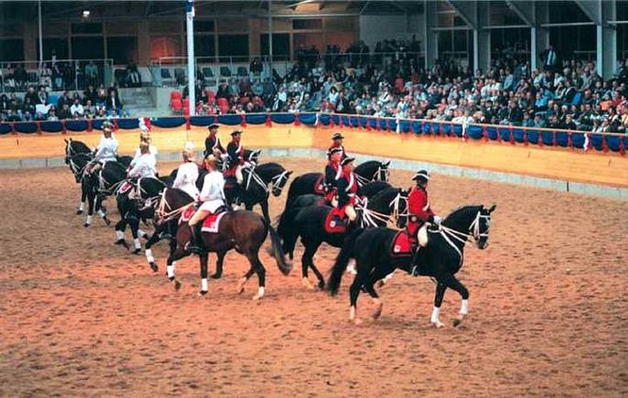 Hengstparade in der Graf von Lindenau Halle in Neustadt/Dosse