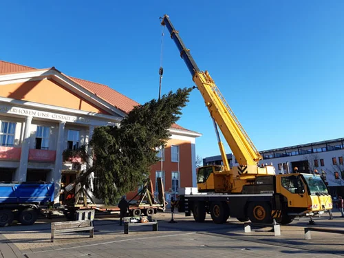 Mit Hilfe eines Kranes wird der Baum in die die richtige Position gebracht. Mit Hilfe eines Kranes wird der Baum in die die richtige Position gebracht.