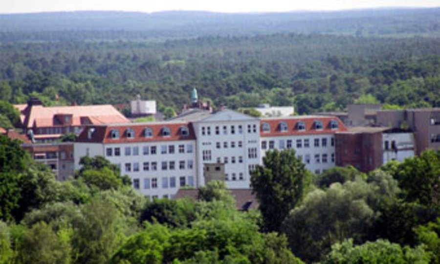 Luftaufnahme von der Rathaus-Rückfront