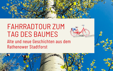 Fahrradtour zum Tag des Baumes im Stadtforst Rathenow