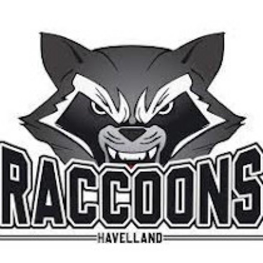 Logo Havelland Raccoons