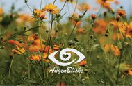 AGIL & die Mobile Augenoptik: Wie läuft ein Hausbesuch ab?