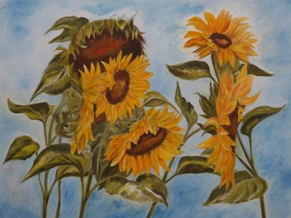 Sonnenblumen Sonnenblumen