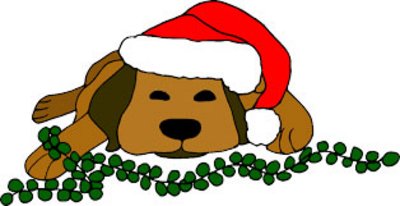Weihnachtsfeier im Tierheim Rathenow