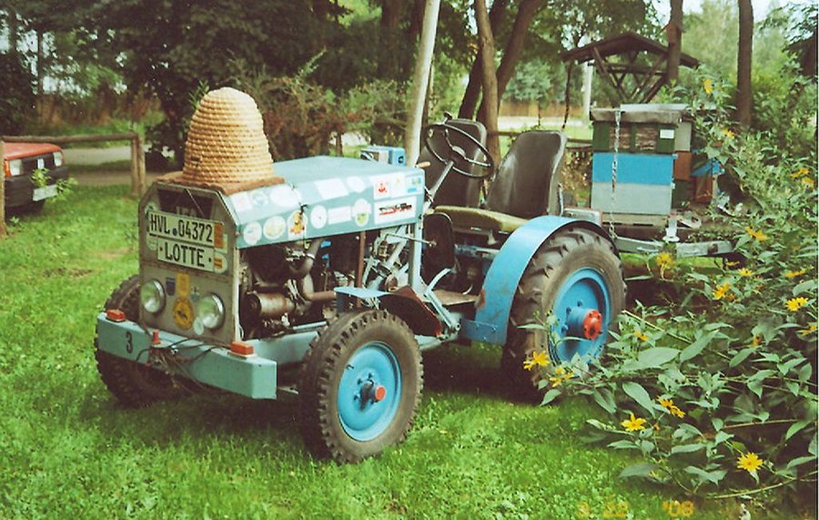 Detailansicht Bienenmuseum