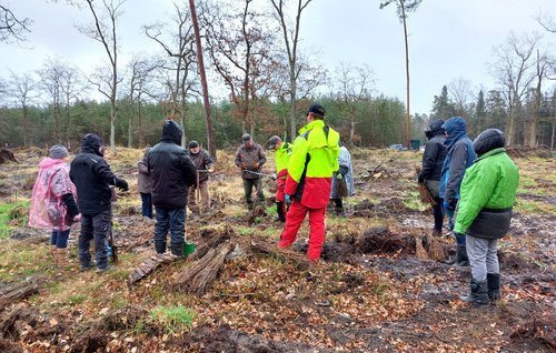 Gruppe Menschen steht im Wald